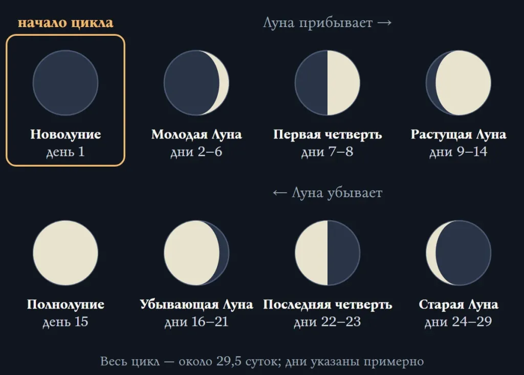 Восемь фаз Луны за лунный месяц: от новолуния через первую четверть, полнолуние и последнюю четверть и обратно
